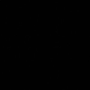 Meet your Posher, Shaun